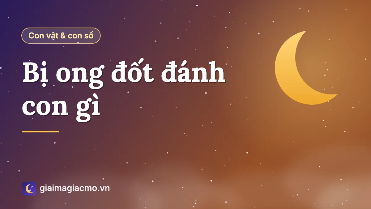 Minh hoạ con ong và ý nghĩa dân gian khi bị ong đốt