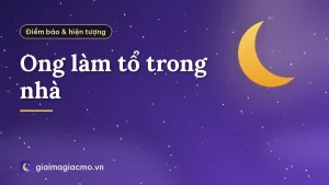 Ong làm tổ trong nhà