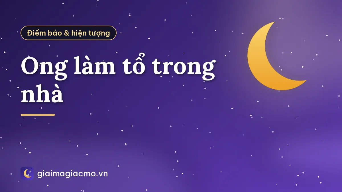 Ong làm tổ trong nhà