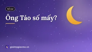 Ông Táo số mấy?