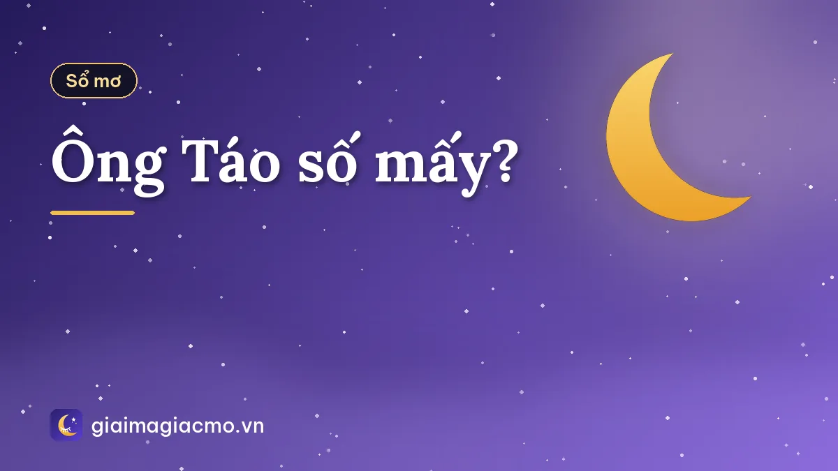 Ông Táo số mấy?