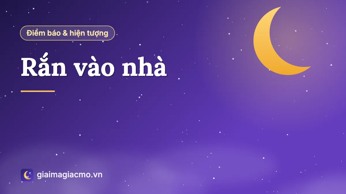 Minh hoạ con rắn bò vào nhà và ý nghĩa điềm báo dân gian