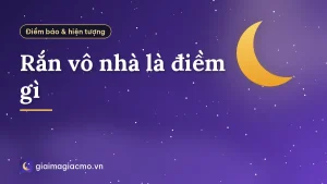 Rắn vô nhà là điềm gì