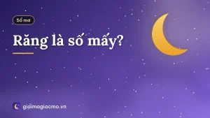 Răng là số mấy?