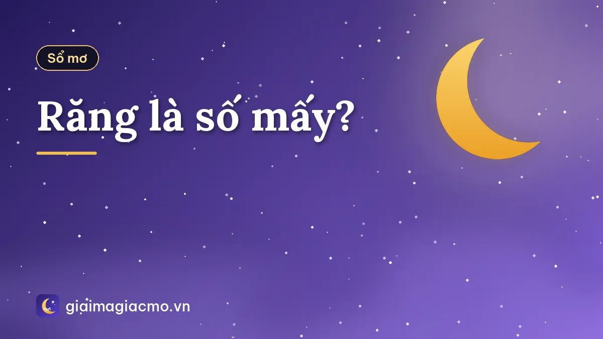 Răng là số mấy?