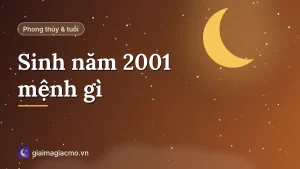 Minh hoạ người sinh năm 2001 tuổi Tân Tỵ mệnh Bạch Lạp Kim