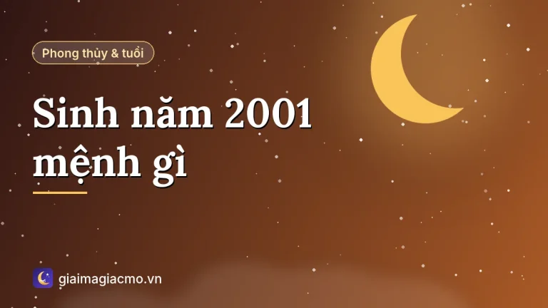Sinh năm 2001 mệnh gì? Tuổi Tân Tỵ hợp màu gì, số mấy