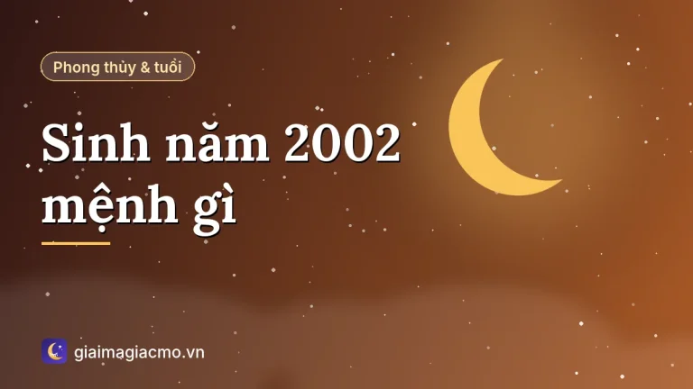 Sinh năm 2002 mệnh gì? Tuổi Nhâm Ngọ hợp màu gì, số mấy