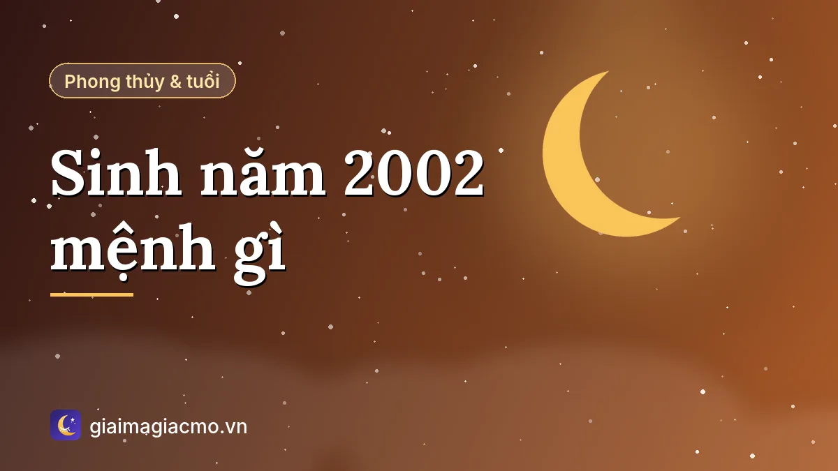 Minh hoạ người sinh năm 2002 tuổi Nhâm Ngọ mệnh Dương Liễu Mộc