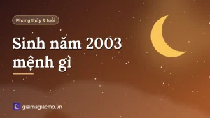 Minh hoạ tuổi Quý Mùi 2003 mệnh Dương Liễu Mộc, màu sắc và con số hợp mệnh