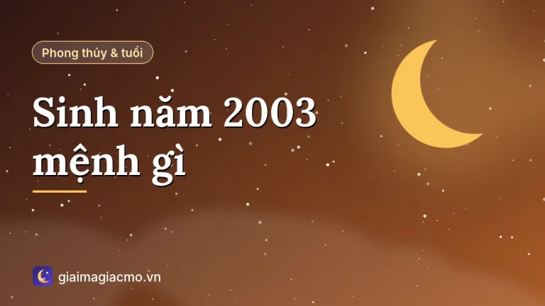 Sinh năm 2003 mệnh gì? Tuổi Quý Mùi hợp màu gì, số mấy