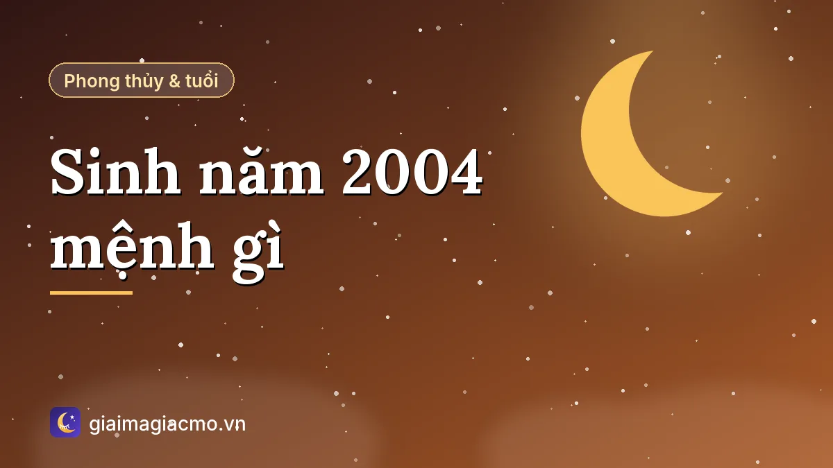 Minh hoạ người sinh năm 2004 tuổi Giáp Thân mệnh Thủy Tuyền Trung Thủy