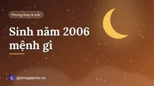 Minh hoạ tuổi Bính Tuất 2006 mệnh Thổ, Ốc Thượng Thổ, màu hợp và con số theo ngũ hành