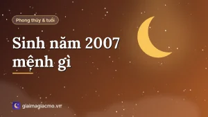 Minh hoạ người sinh năm 2007 tuổi Đinh Hợi mệnh Thổ, màu hợp và con số hợp mệnh