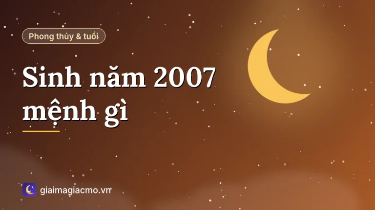 Sinh năm 2007 mệnh gì? Tuổi Đinh Hợi hợp màu gì, số mấy