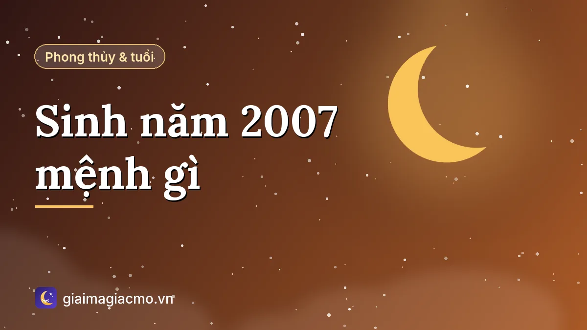 Minh hoạ người sinh năm 2007 tuổi Đinh Hợi mệnh Thổ, màu hợp và con số hợp mệnh