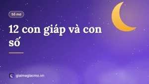 Bảng 12 con giáp Tý Sửu Dần Mão kèm con số theo sổ mơ dân gian