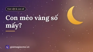 Con mèo vàng số mấy?