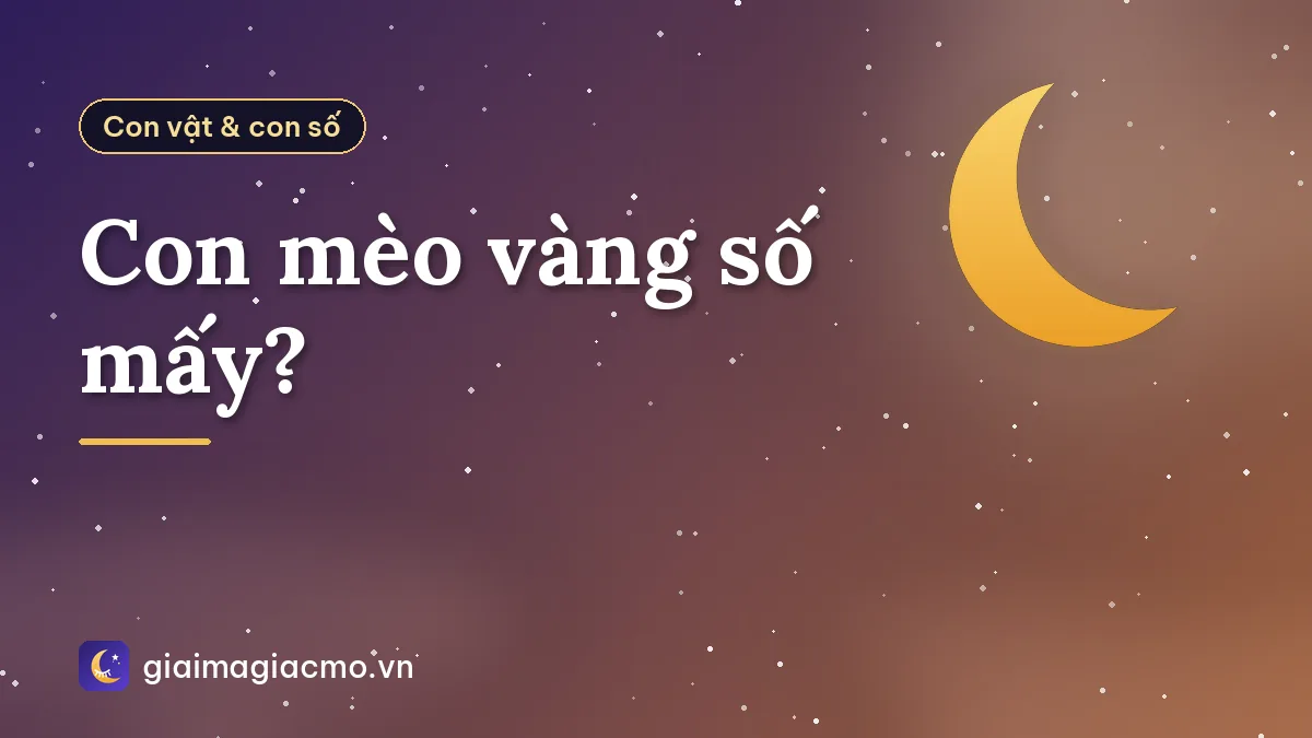 Con mèo vàng số mấy?