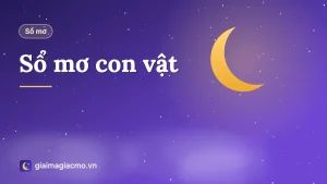 Bảng 40 con vật trong sổ mơ dân gian từ Cá trắng đến Ông táo