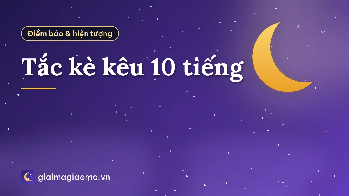 Tắc kè kêu 10 tiếng