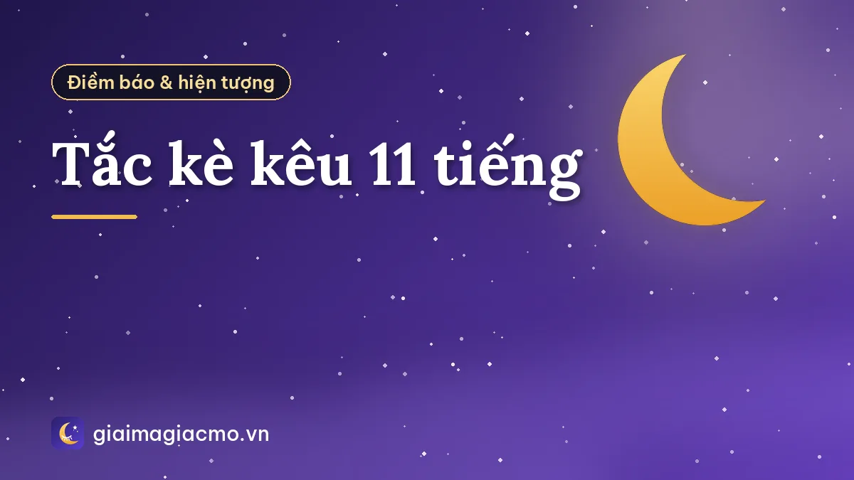 Tắc kè kêu 11 tiếng