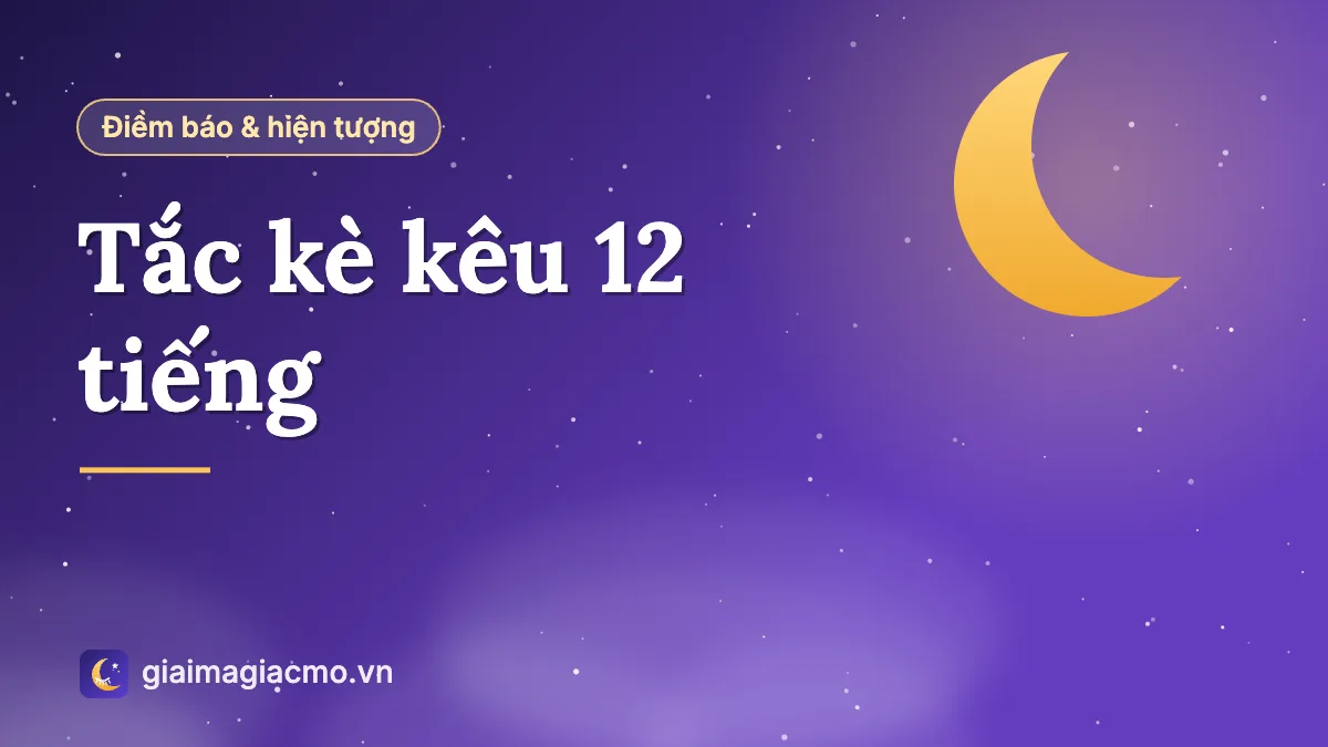 Minh hoạ con tắc kè trưởng thành đang kêu trên mái nhà ban đêm