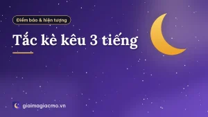 Tắc kè kêu 3 tiếng