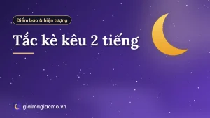 Tắc kè kêu 2 tiếng