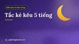 Tắc kè kêu 5 tiếng