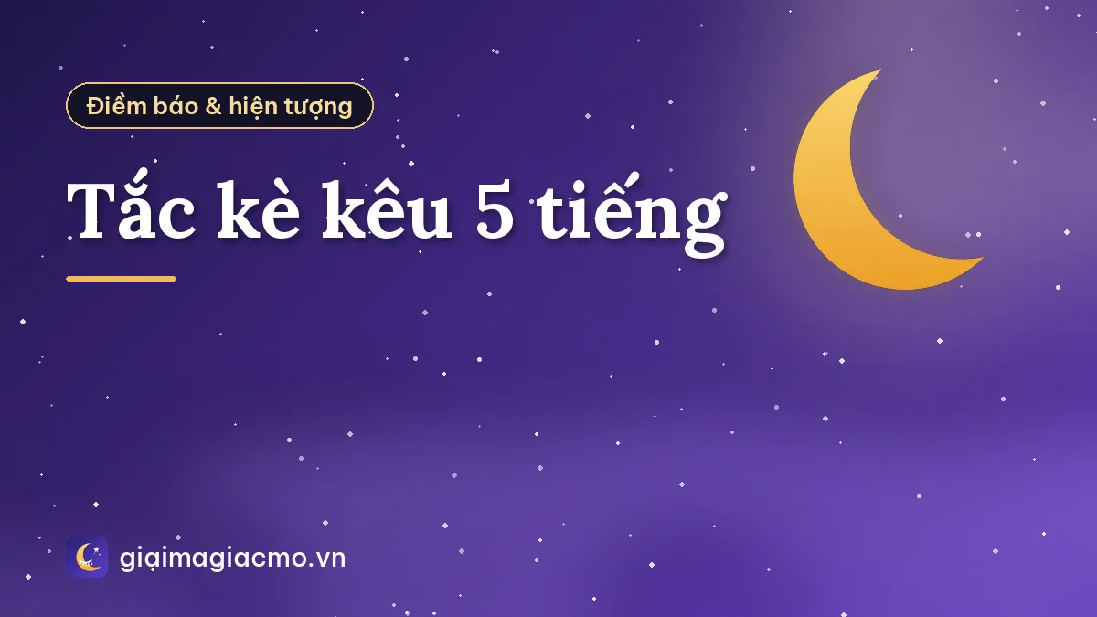 Tắc kè kêu 5 tiếng