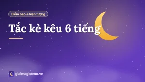 Con tắc kè bám trên tường nhà ban đêm, minh hoạ điềm báo tắc kè kêu 6 tiếng