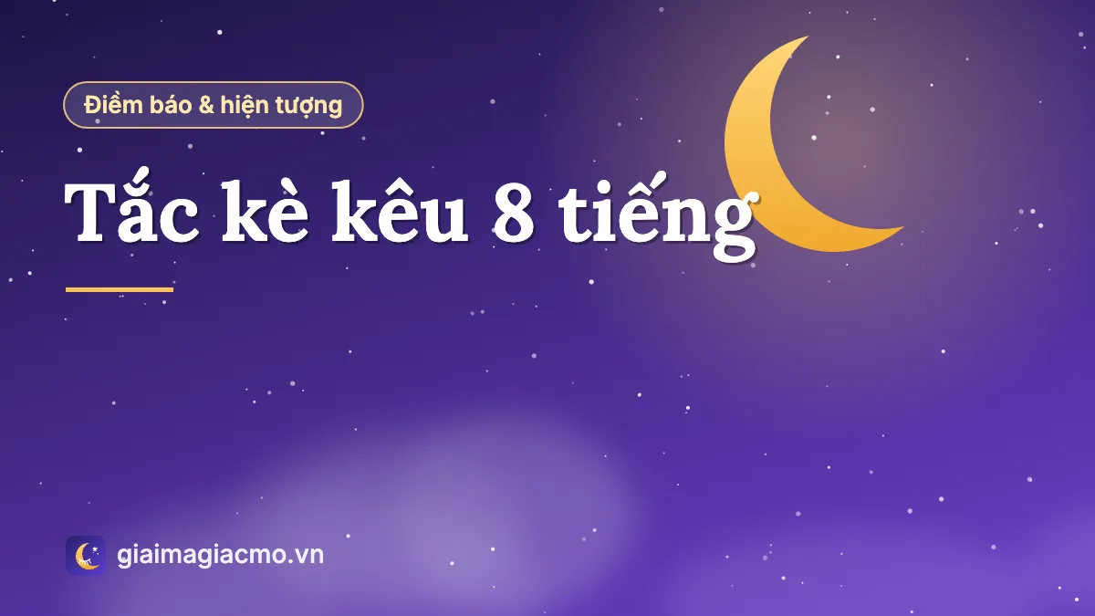 Minh hoạ con tắc kè kêu 8 tiếng trên mái nhà ban đêm