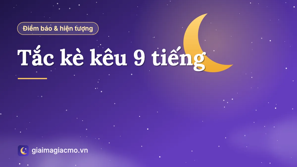 Minh hoạ con tắc kè đang kêu trên tường nhà buổi tối
