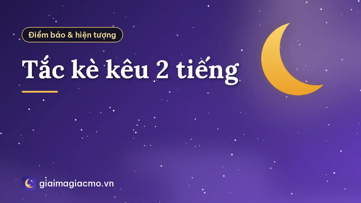 Tắc kè kêu 2 tiếng