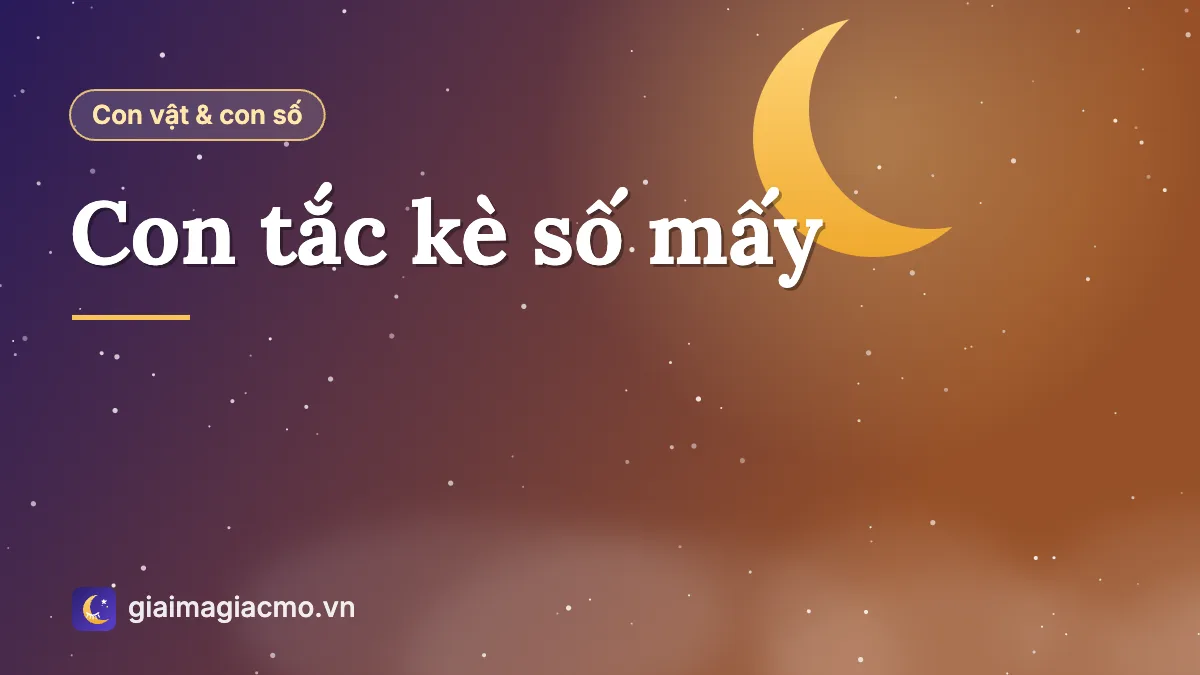 Minh hoạ con tắc kè trên tường nhà và con số theo sổ mơ