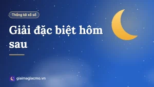 Minh hoạ bảng số liệu Giải đặc biệt hôm sau tổng hợp từ kết quả xổ số đã công bố