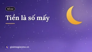 Tiền là số mấy