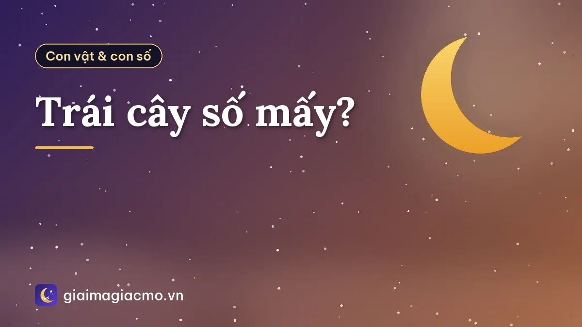 Trái cây số mấy?
