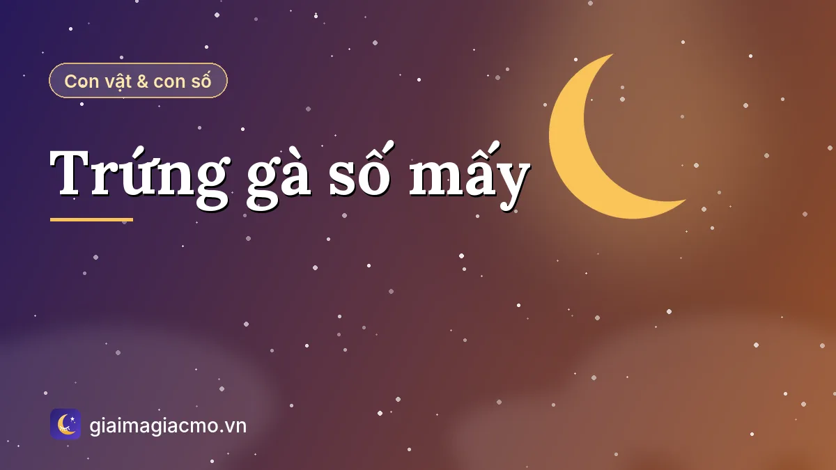 Minh hoạ giải mã giấc mơ thấy trứng gà và con số theo sổ mơ dân gian