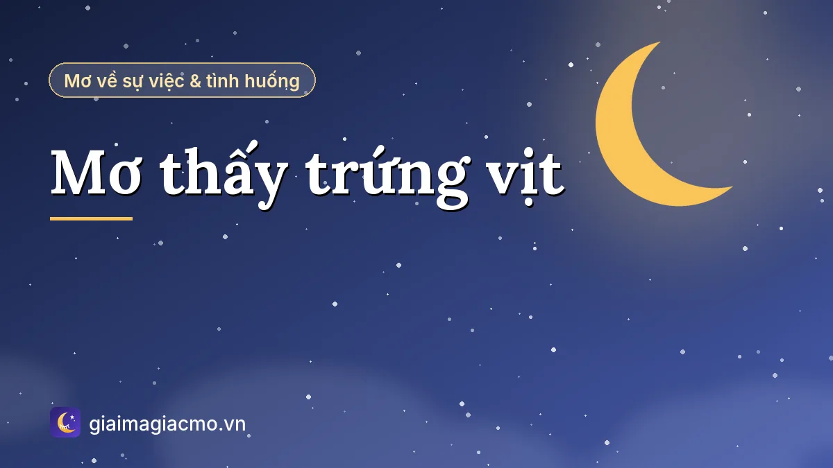 Minh hoạ giải mã giấc mơ thấy trứng vịt trong rổ