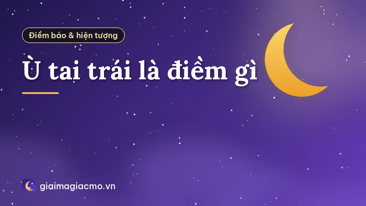 Ù tai trái là điềm gì