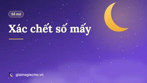Minh hoạ ý nghĩa và con số liên quan khi gặp hoặc mơ thấy xác chết